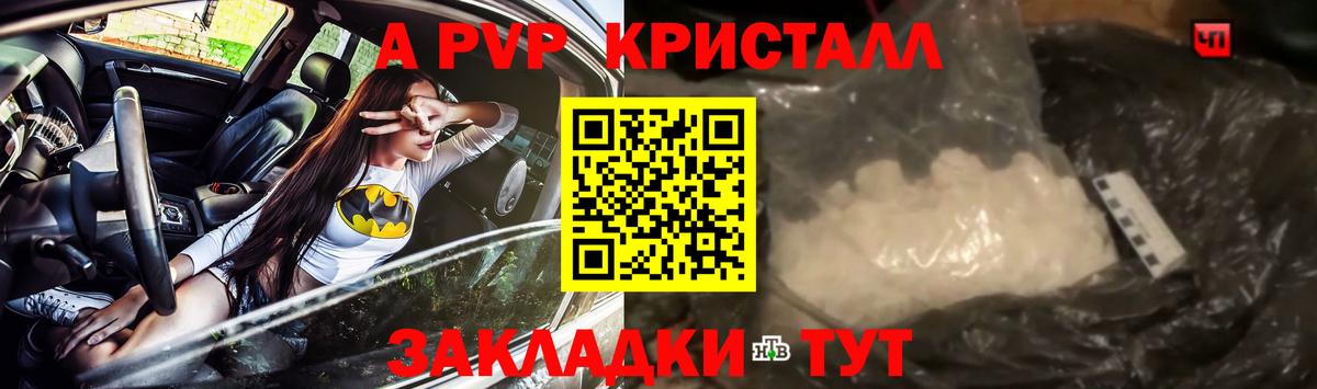 сколько стоит  А ПВП СК  Вход с VPN  Alfa_PVP крисы CK  APVP СК КРИС  Кызыл 