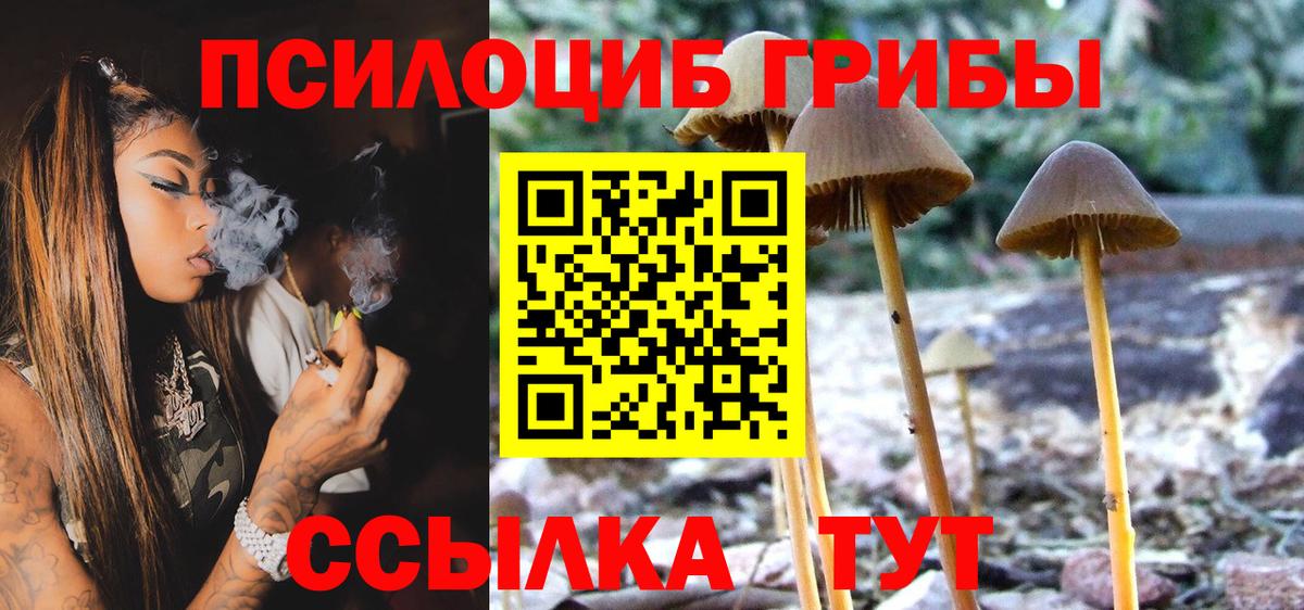 Кызыл  Галлюциногенные грибы прущие грибы  закладка  Вход с VPN 